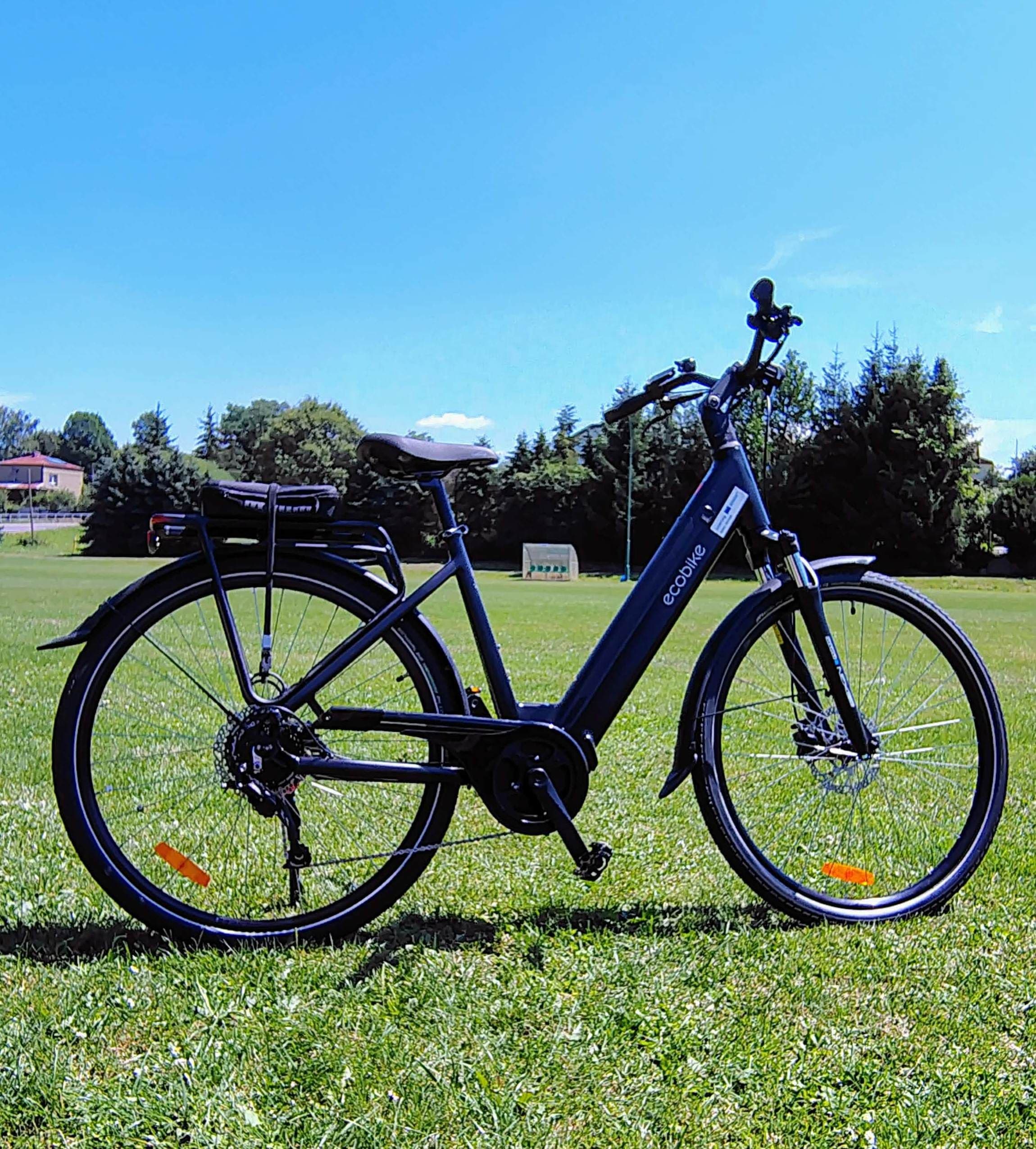 Rower 28" Eride Ecobike LX100 19"